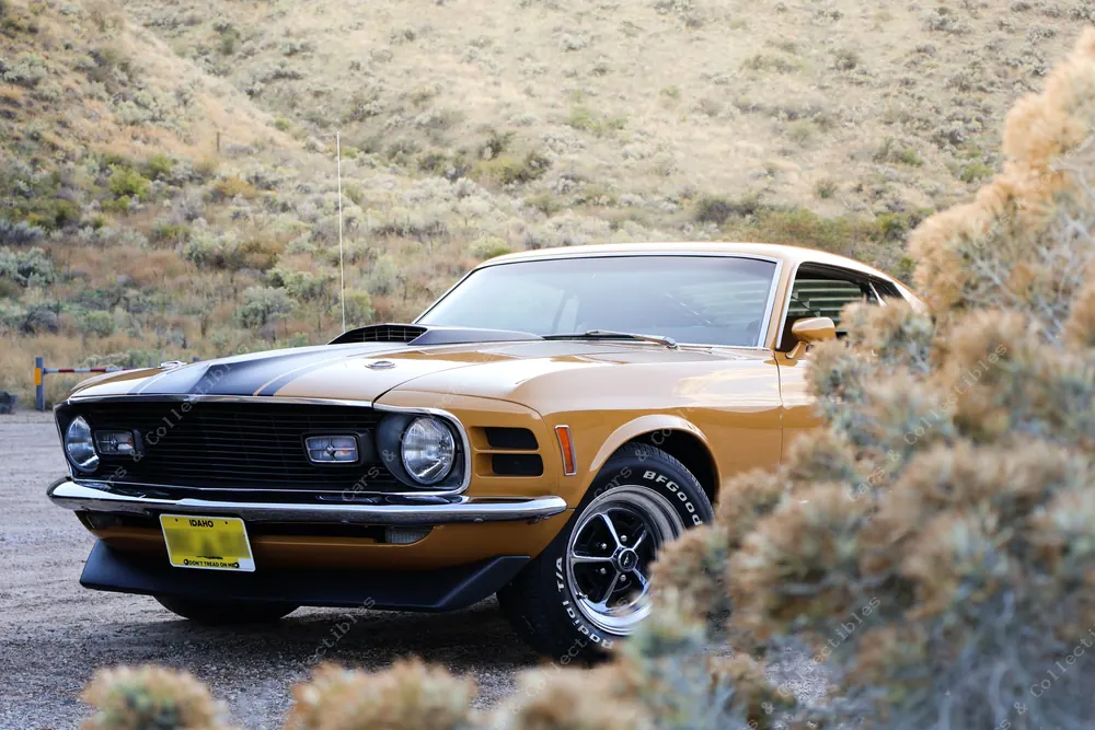 1970 Ford Mustang Mach 1