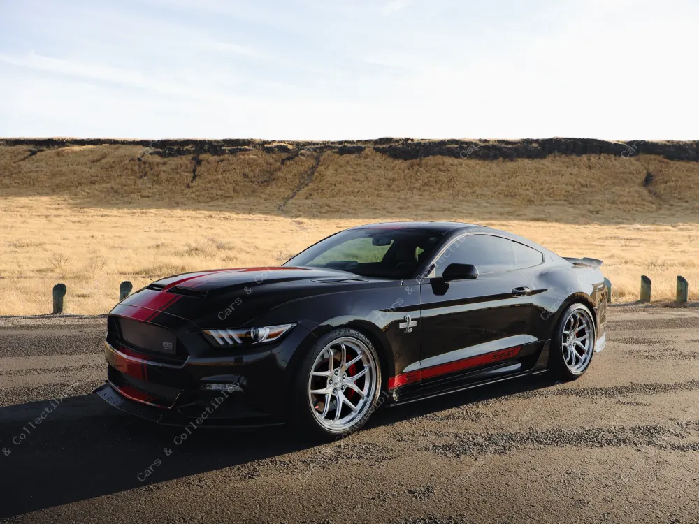 Highway Run Dealership Showcase